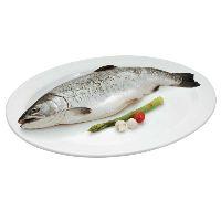 imagem Salmão Fresco Peça Inteira Kg  (cADA PEIXE PESA MÉDIA DE 5KG A 6KG)