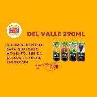 imagem Del valle lata 290ml