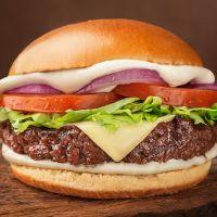 imagem Taurus Veggie Burguer 