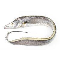 imagem Peixe Espada Kg 