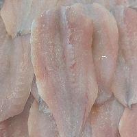 imagem file da pescadinha verdadeira