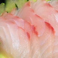 imagem Sashimi Peixe branco com fatias de limão (10) 