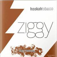 imagem ZIGGY COCO TROPICAL