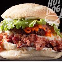 imagem Burguer Furioso