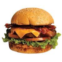 imagem N 12 Fome Zero Grill