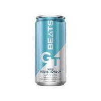 imagem SKOL BEATS GT 