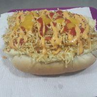 imagem Hot Dog 1 salsicha