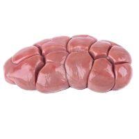 imagem Rins 0,6 / 0,8kg