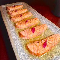 imagem Salmon Soko 2.0